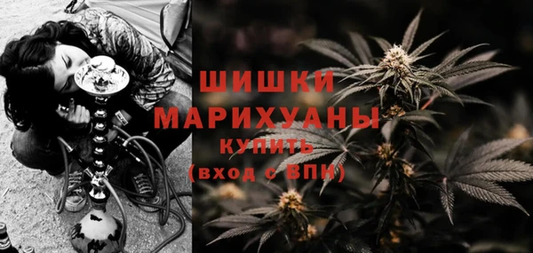 ГАЛЛЮЦИНОГЕННЫЕ ГРИБЫ Гатчина