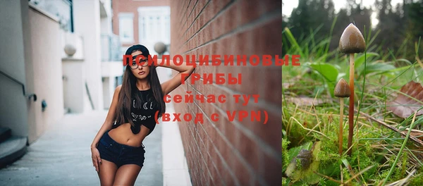 экстази Богданович