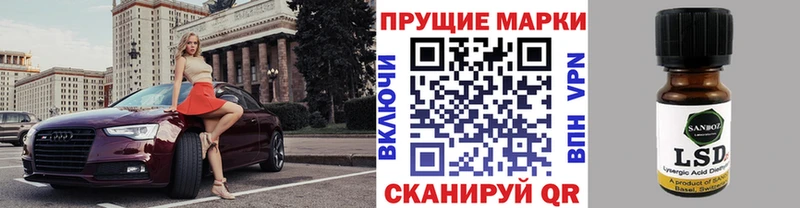 закладка  Власиха  Марки N-bome 1500мкг 